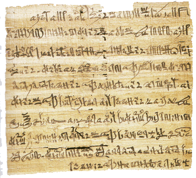 Papyrus